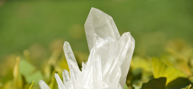 Tierkommunikation und Energetisch Harmonisieren Alexandra Wolf